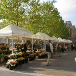 Flower Market